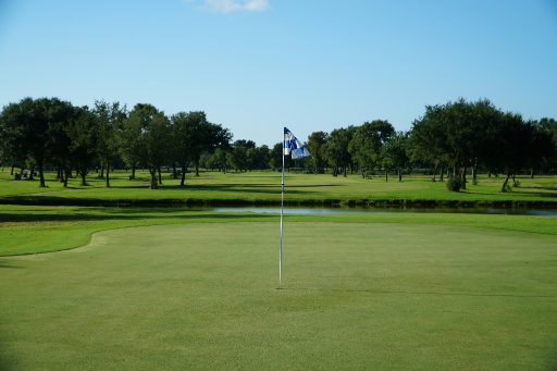 Golfbng Biodiversity Net Gain Header Image Of Golf Course 02 Medium