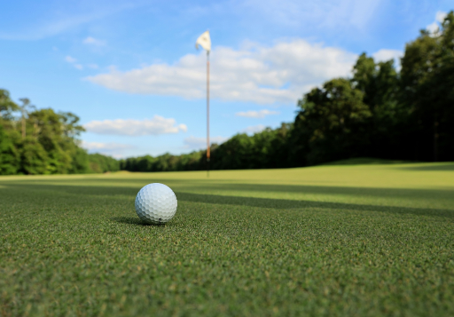 Golfbng Biodiversity Net Gain Header Image Of Golf Course 03 Medium